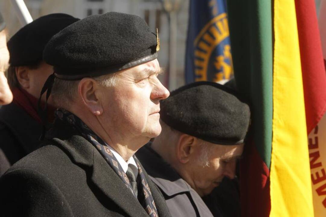 Patriotiniame mitinge - skirtingos pilietinės nuotaikos