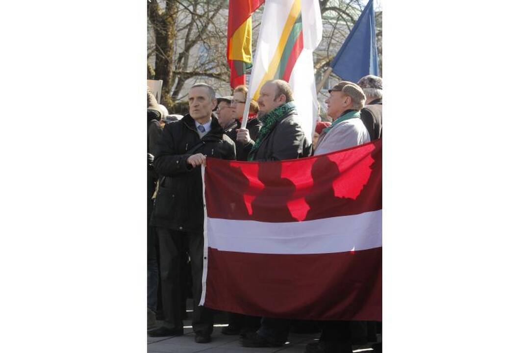 Patriotiniame mitinge - skirtingos pilietinės nuotaikos