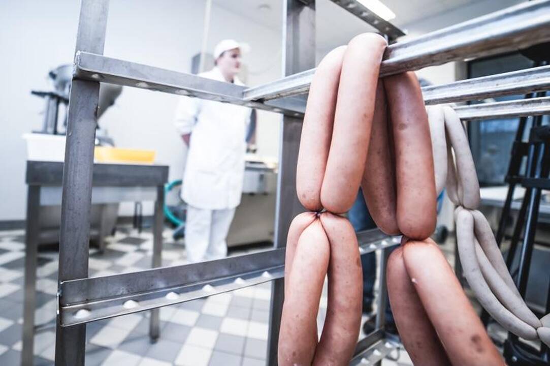 KTU mokslininkai ieško atsakymų, kokį maistą valgysime po 50 metų