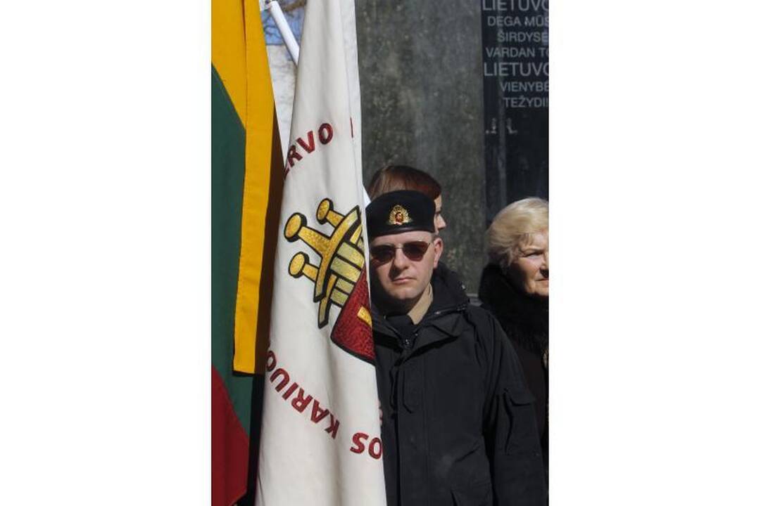 Patriotiniame mitinge - skirtingos pilietinės nuotaikos