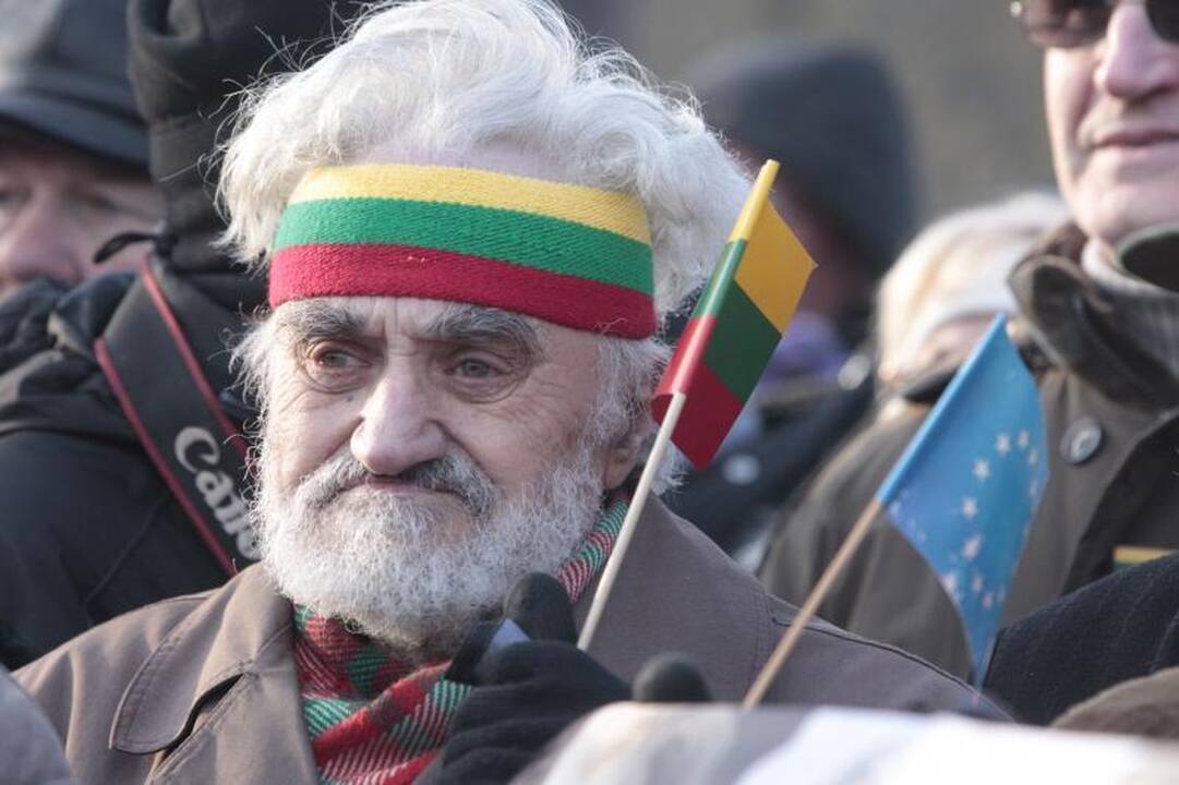 Uždraustoje eisenoje Vilniuje - tūkstančiai nacionalistų