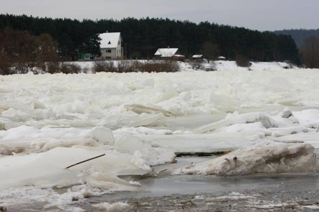 Kauno rajone, Neryje, susidarė ledų sangrūda (papildyta)