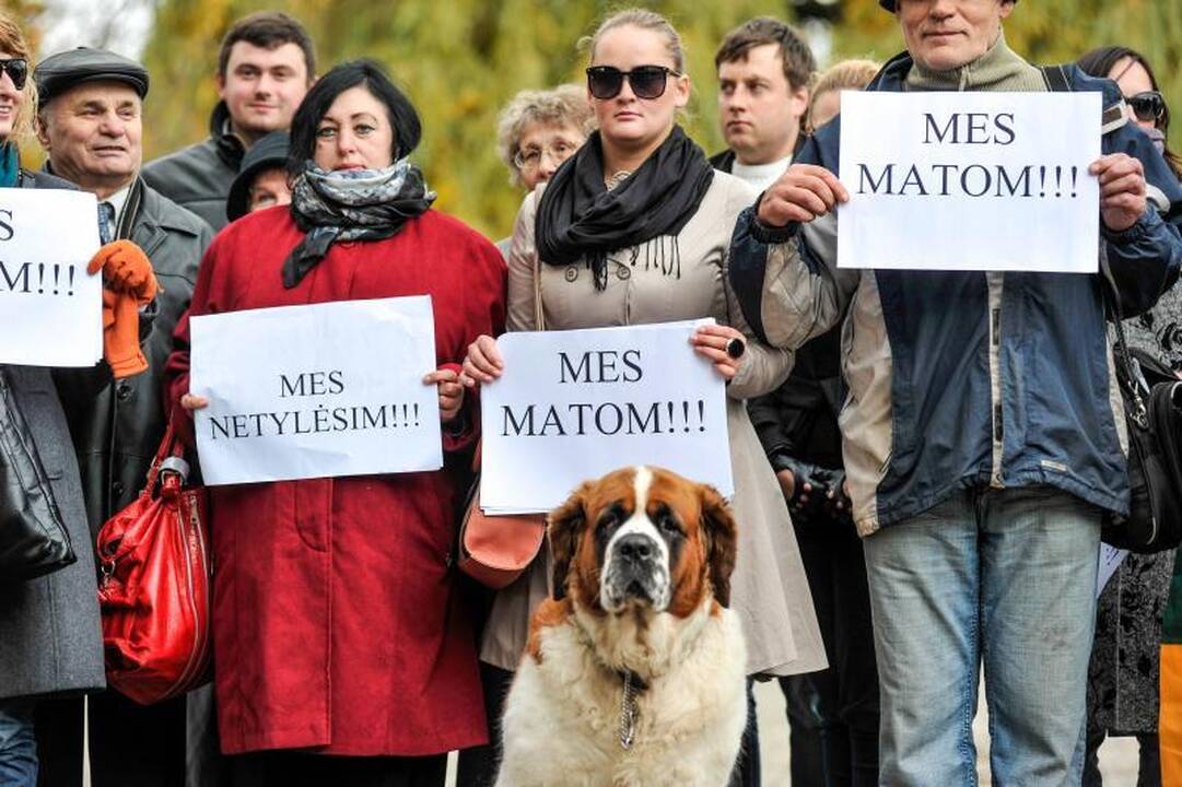 Neparduoti savo balso per rinkimus ragino ir šuo