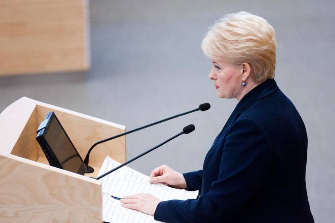 Svarbiausiais darbais prezidentė laiko kovą su korupcija, monopoliu