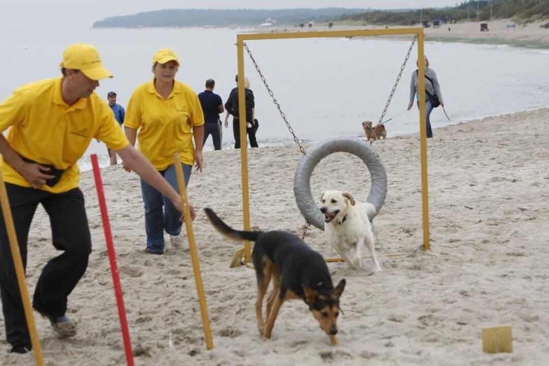 Paplūdimyje pramogavo šeimininkai su savo šunimis
