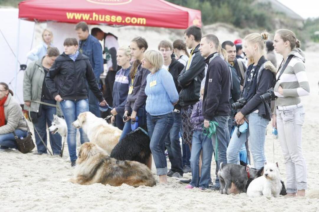 Paplūdimyje pramogavo šeimininkai su savo šunimis