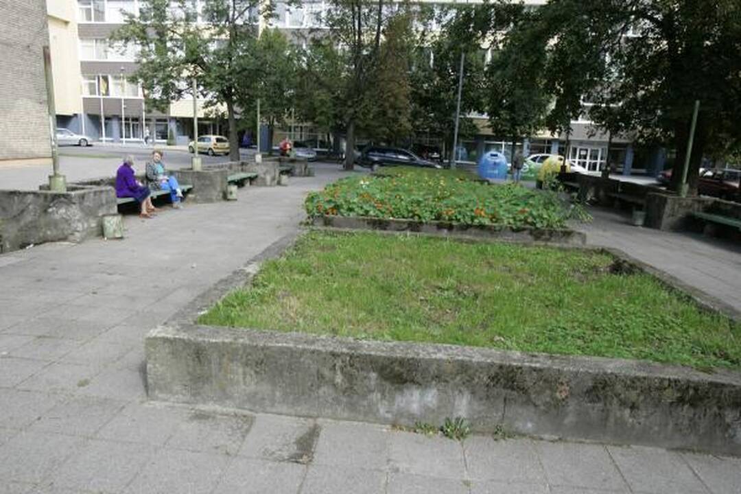 J.Ivanauskaitės skveras laukia katino