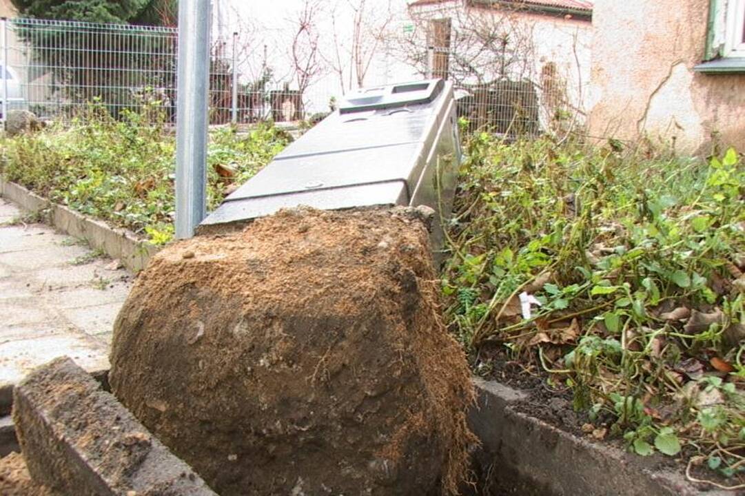 Vairuotojas Klaipėdoje nuvertė stovos skaitiklį