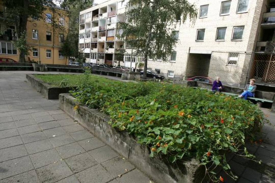 J.Ivanauskaitės skveras laukia katino