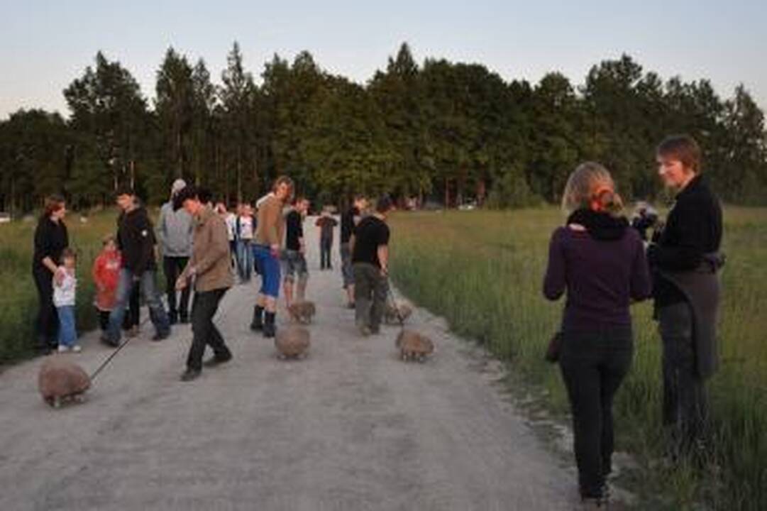 Vakarų Lietuvą apglėbs TATA festivalis (papildyta)