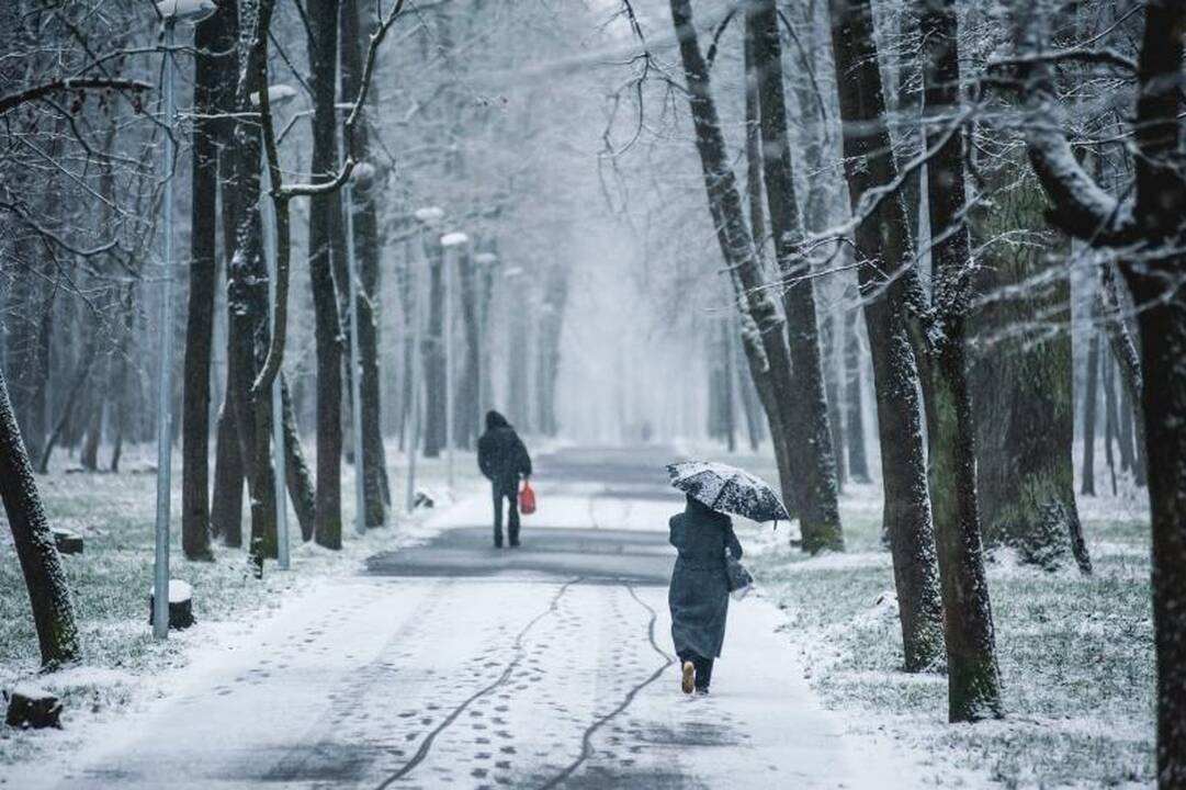 Pirmasis gruodžio sniegas į gatves išginė kelininkus
