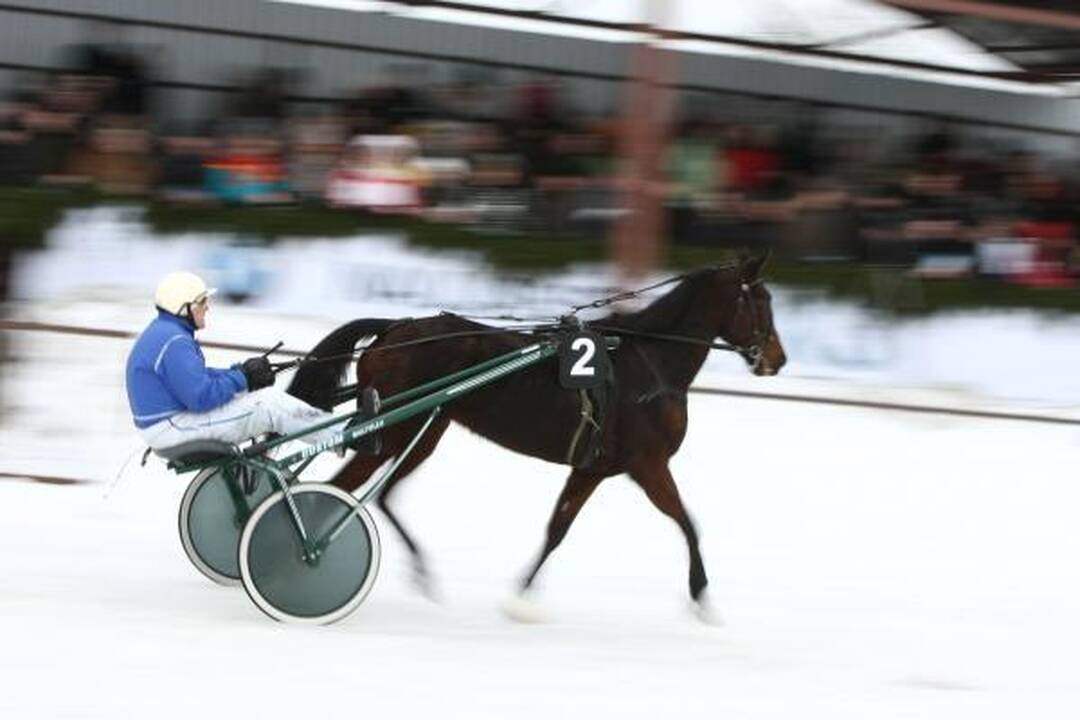Sartų lenktynėms Dusetose jau ruošiamas ledas