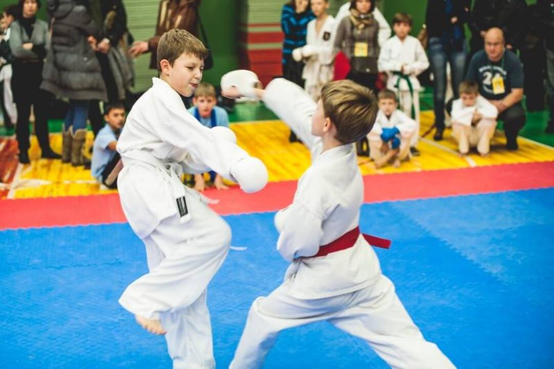 „Tigro kelią“ karatistai išbandė Kaune  