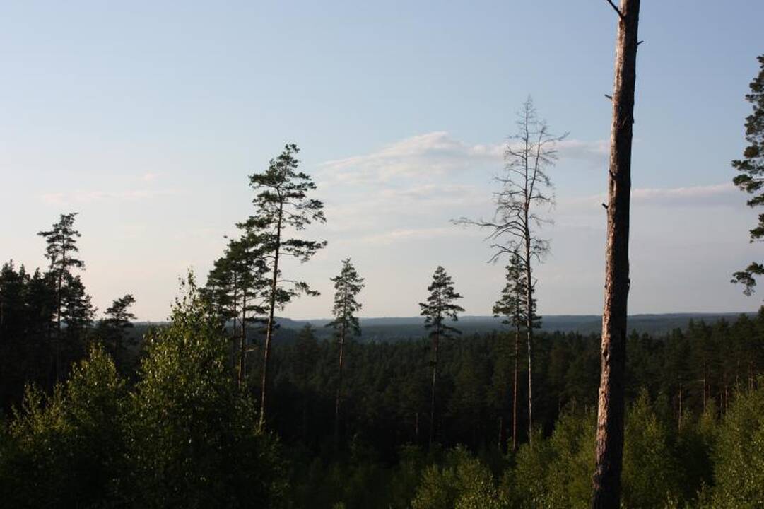 Neries regioninis parkas – poilsiui ir istorijai