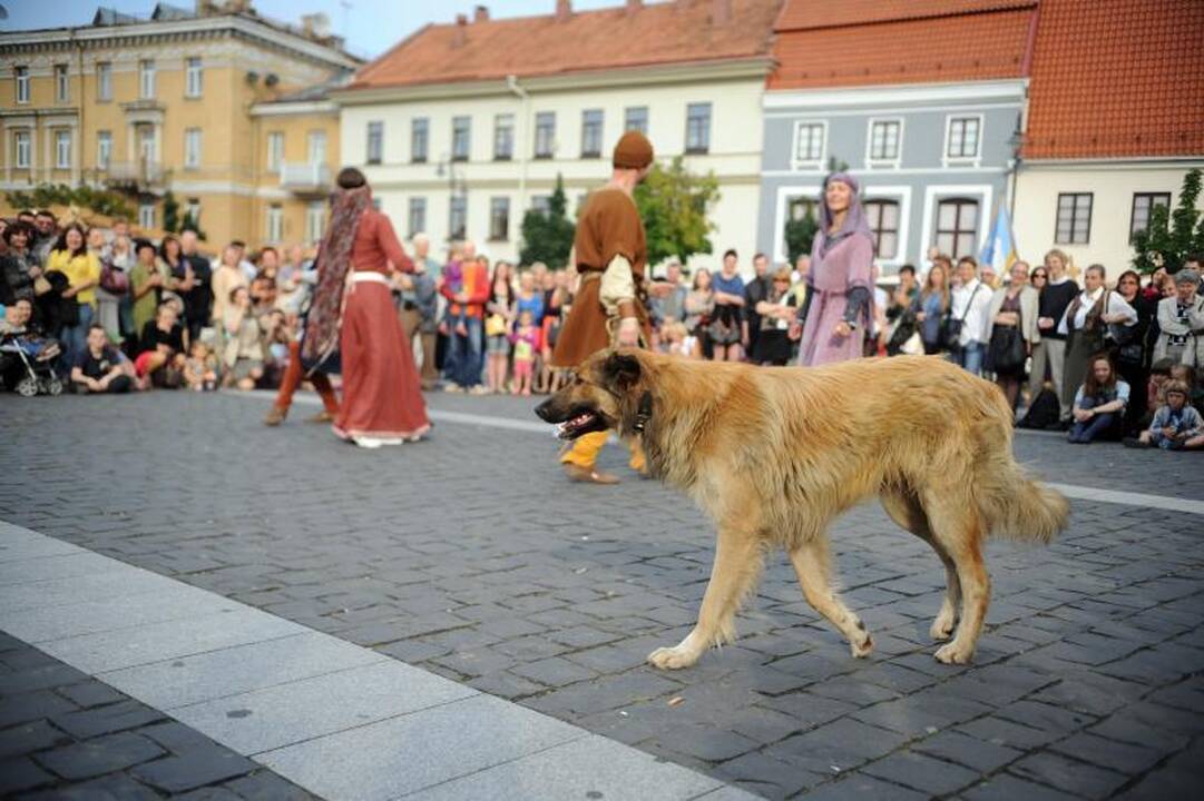 Šv.Baltramiejaus mugę sostinėje vainikavo baltarusių pasirodymas