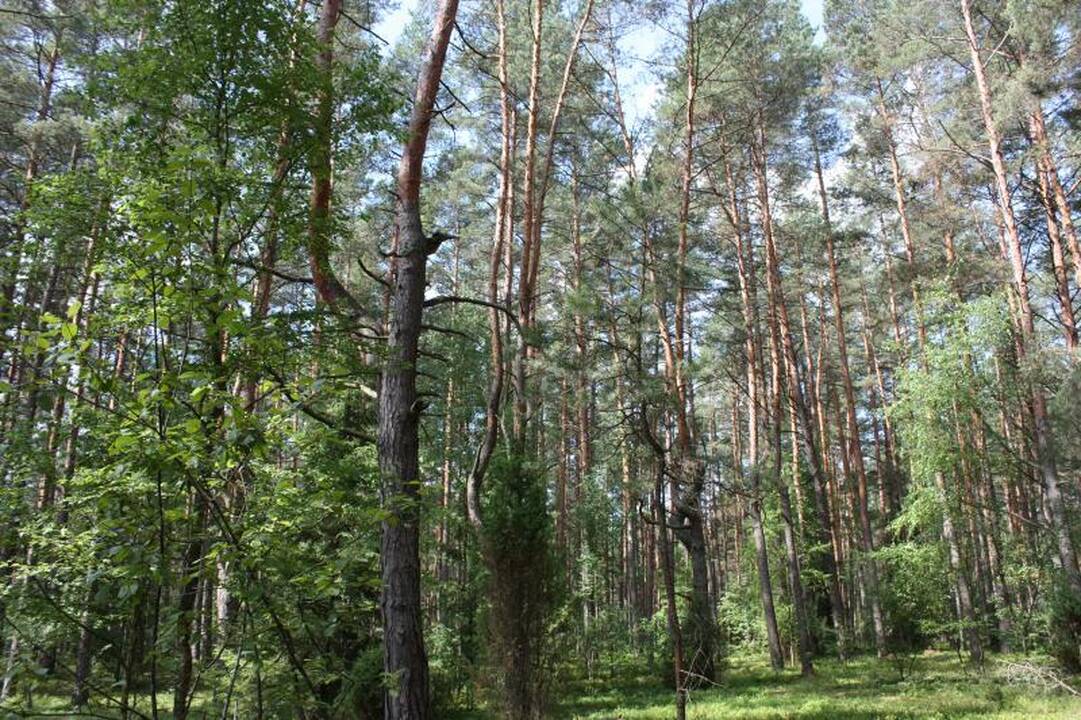 Neries regioninis parkas – poilsiui ir istorijai