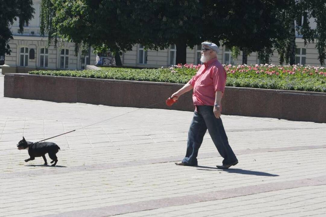 Politikai šventė laisvę nuo mokesčių