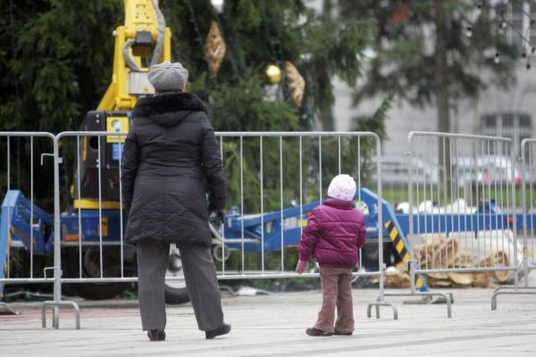 Katedros aikštėje puošiama eglė, statoma prakartėlė