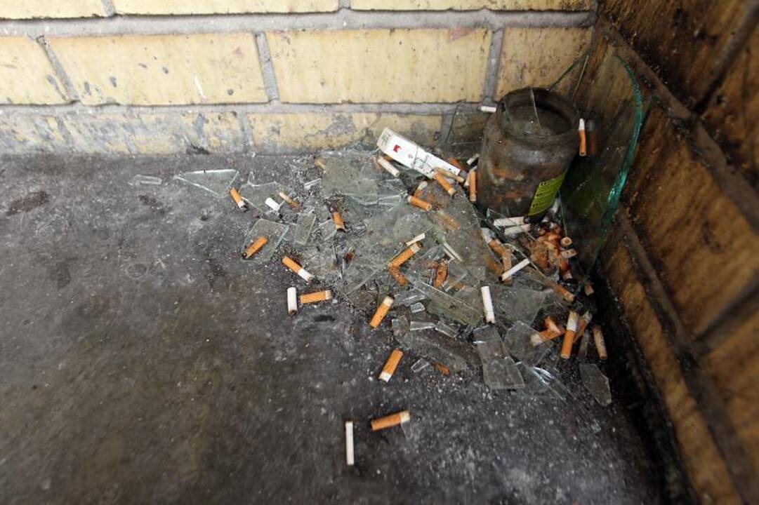 Bendrabučių studentų pasiaiškinimuose - šiurpinantis akiplėšiškumas