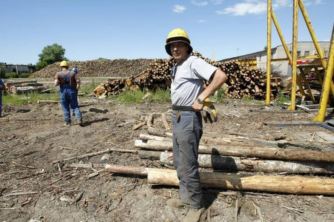 Klaipėdos tarnybas ant kojų sukėlė porolono prikimšta bomba (papildyta)