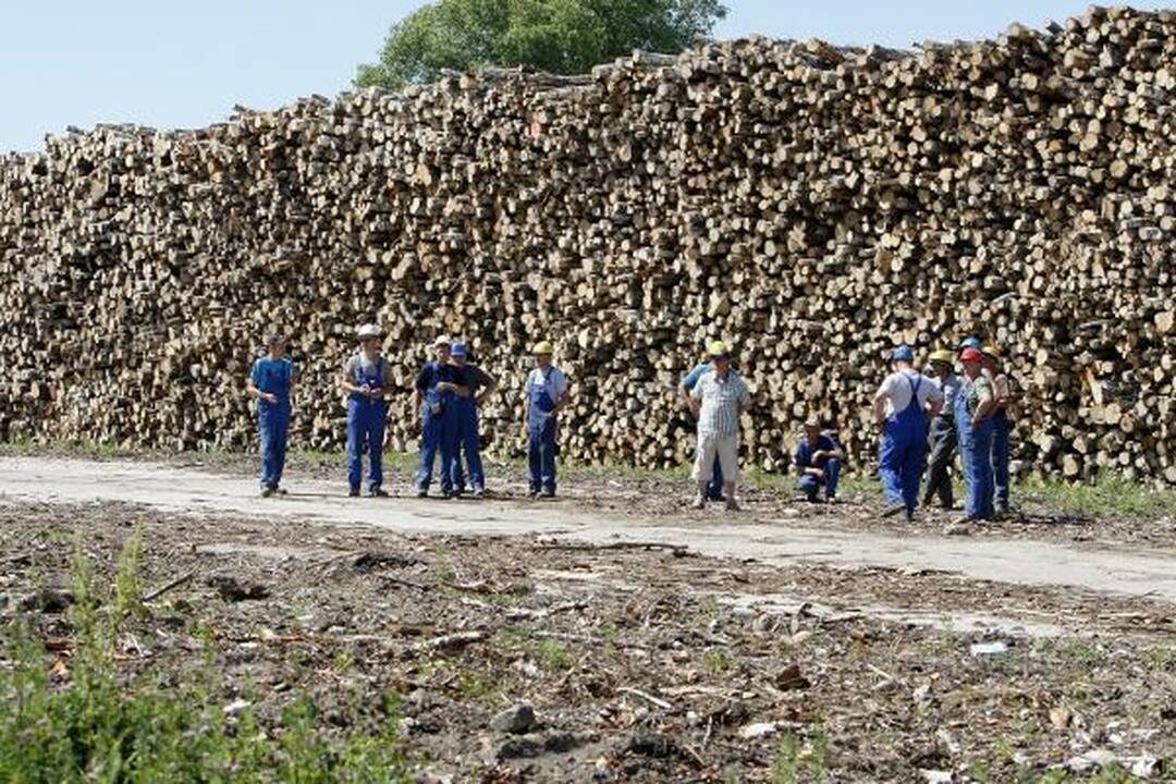 Klaipėdos tarnybas ant kojų sukėlė porolono prikimšta bomba (papildyta)