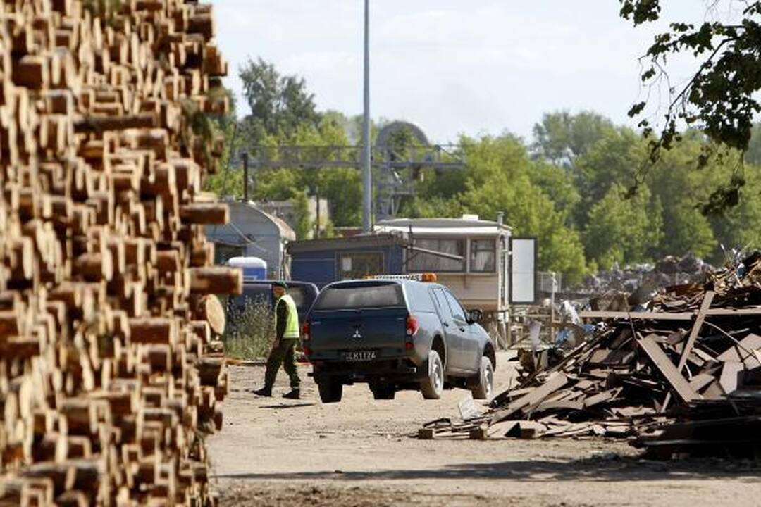 Klaipėdos tarnybas ant kojų sukėlė porolono prikimšta bomba (papildyta)