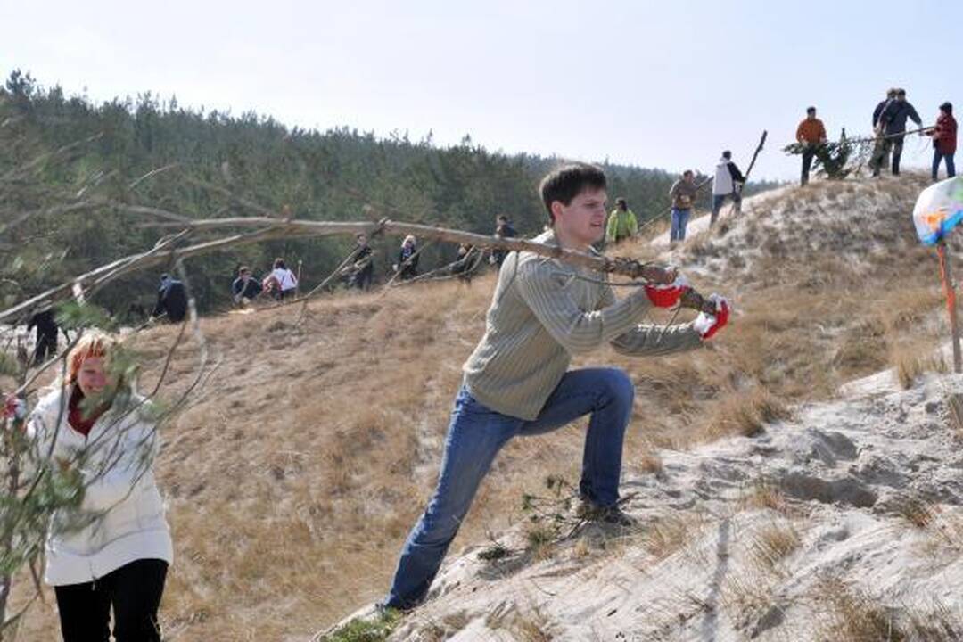 Dujininkai iš visos Lietuvos tvirtino pajūrio kopas