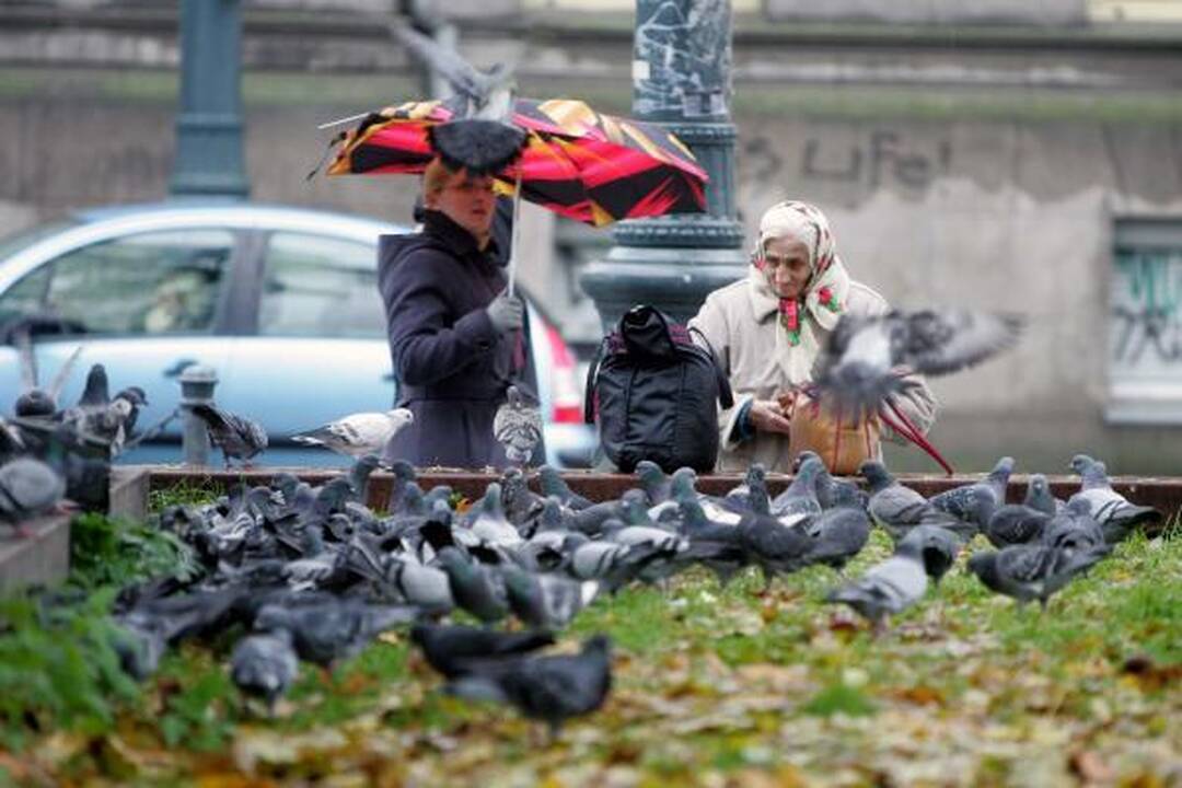 Po Vyriausybės langais - protestas "dėl išvogtos Lietuvos"