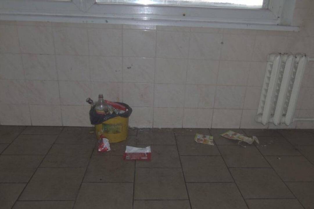 Bendrabučių studentų pasiaiškinimuose - šiurpinantis akiplėšiškumas