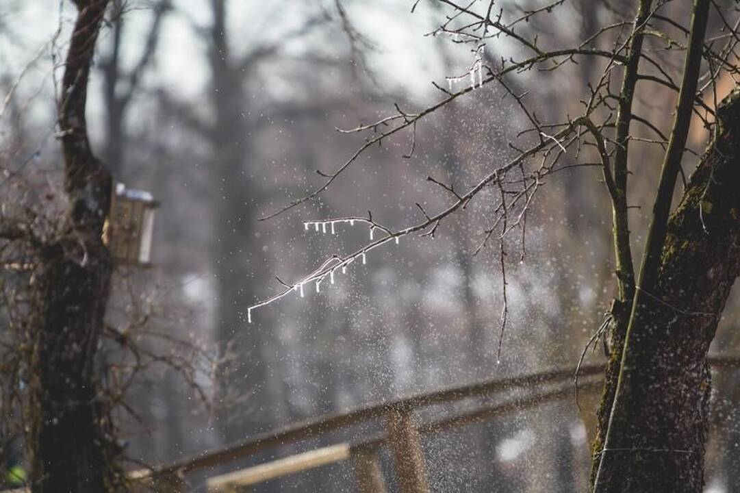 Kauno rajone kaimo turizmo sodyba buvo padegta?