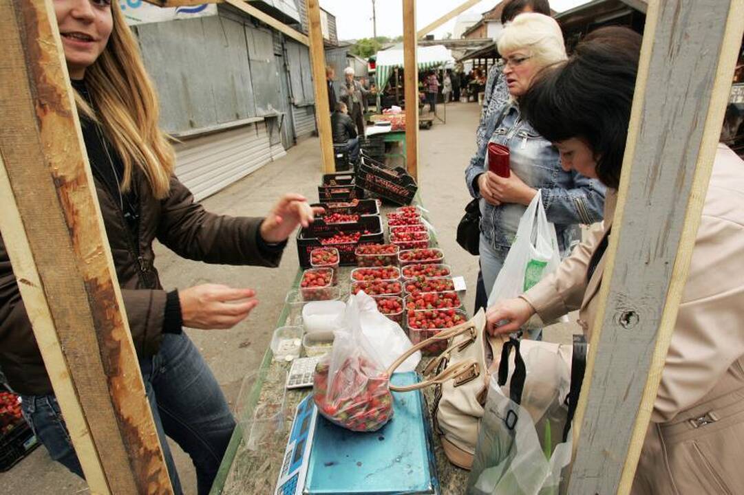 Lietuviškos braškės – po 20 litų, bet pirkėjų netrūksta