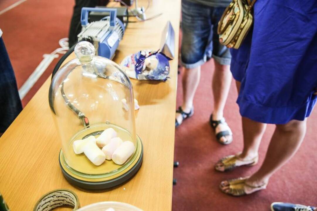Studentiški darbai žavėjo drąsa ir naujovėmis