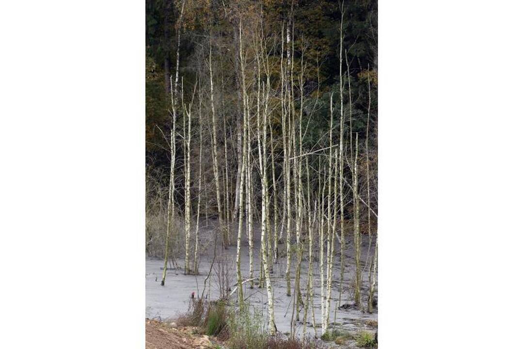 Kariotiškų sąvartyne iš rezervuaro ištekėjo teršalai (atnaujinta)