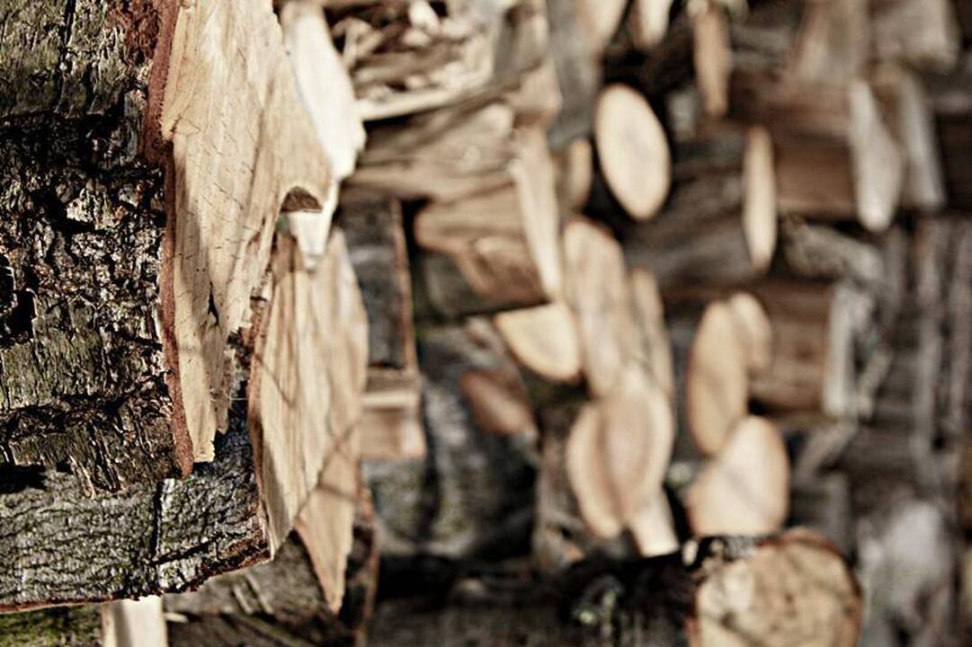 Krovinio svorį vairuotojas žinos neišlipęs iš kabinos