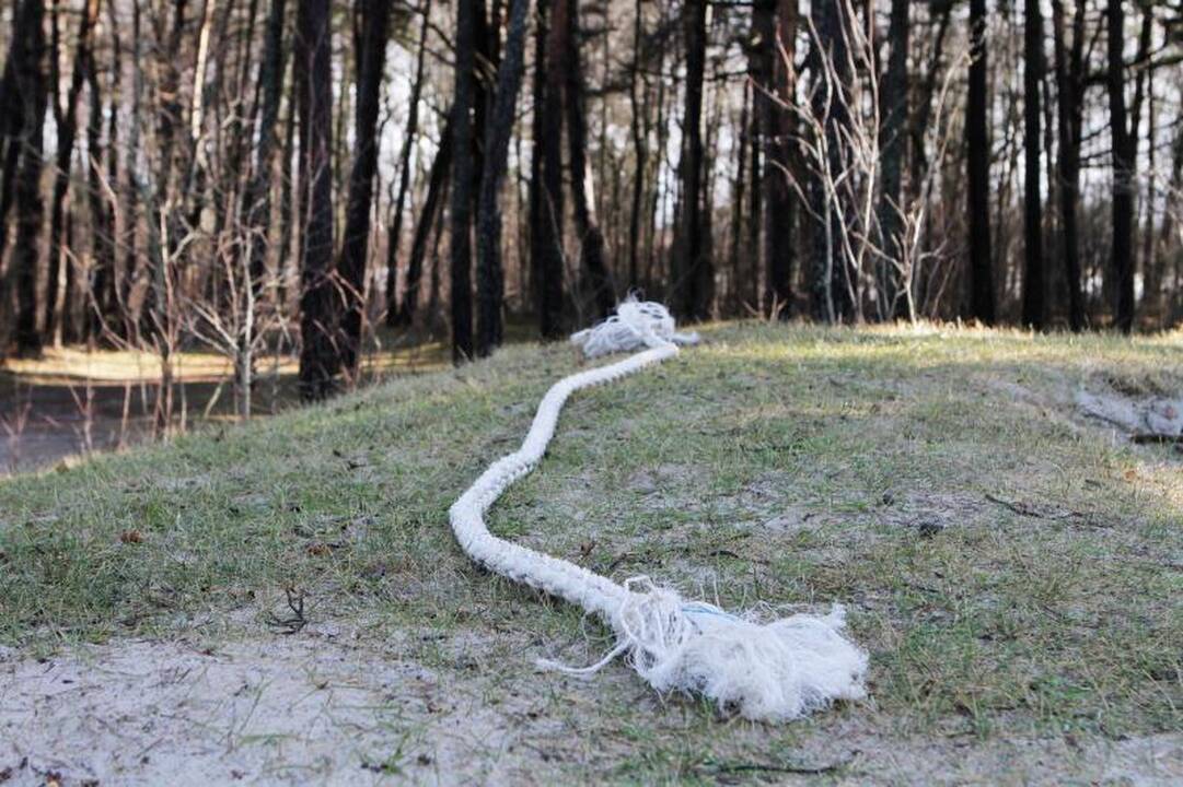 Klaipėdos paplūdimiuose – šiurpūs radiniai   