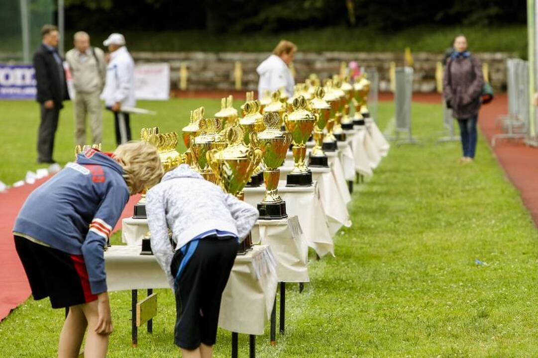 V.Vencienė: sportininkui olimpinės žaidynės yra aukščiausias taškas