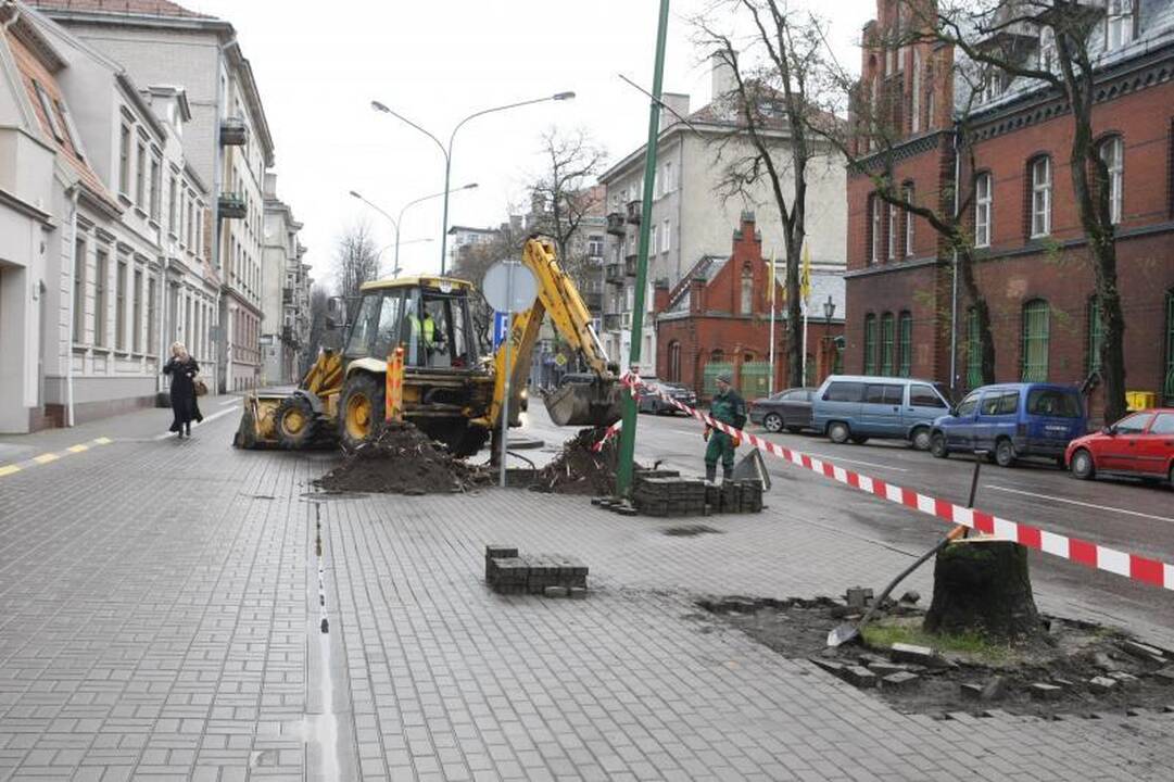 Liepų gatvę „palieka“ ilgametės miesto liepos