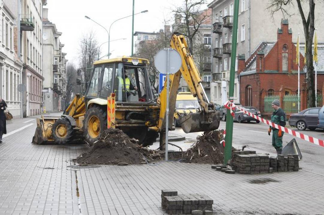 Liepų gatvę „palieka“ ilgametės miesto liepos