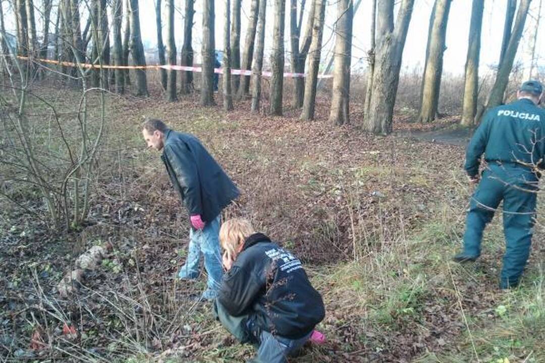 Kaune rasti keliolikos žiauriai išdarkytų šunų kūnai (dar papildyta)