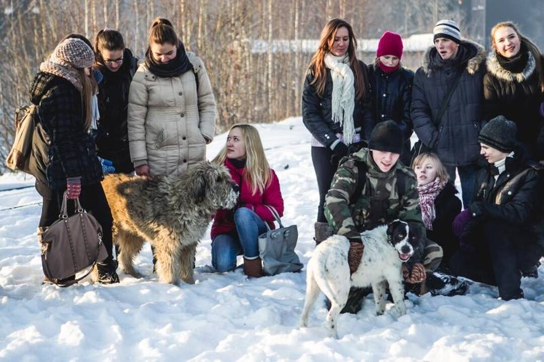 Gyvūnų prieglaudose – būriai šilumos išsiilgusių benamių