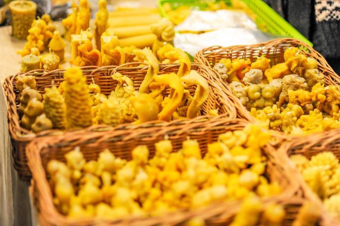 Neįkainojamą šventę neįgaliesiems vainikuos labdaros koncertas