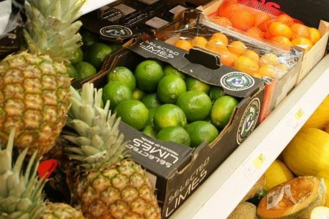 Kauniečiai kviečiami į ekologiško gyvenimo seminarą