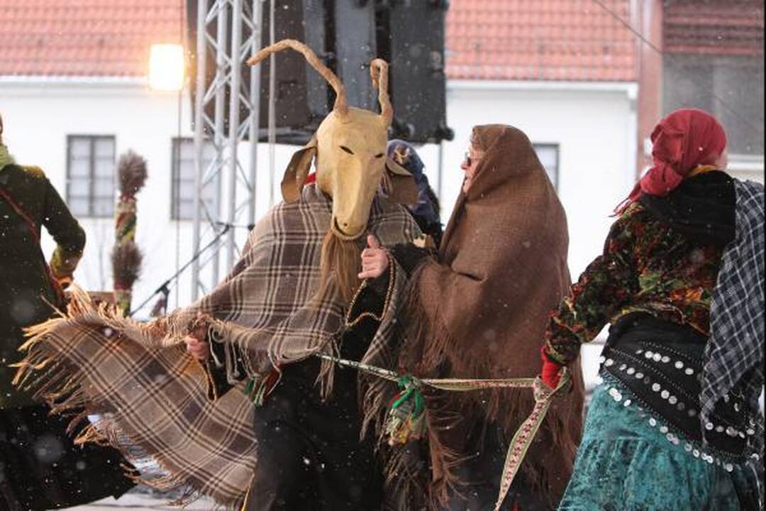 Varyti žiemą Vilnius šiemet pradėjo anksčiau