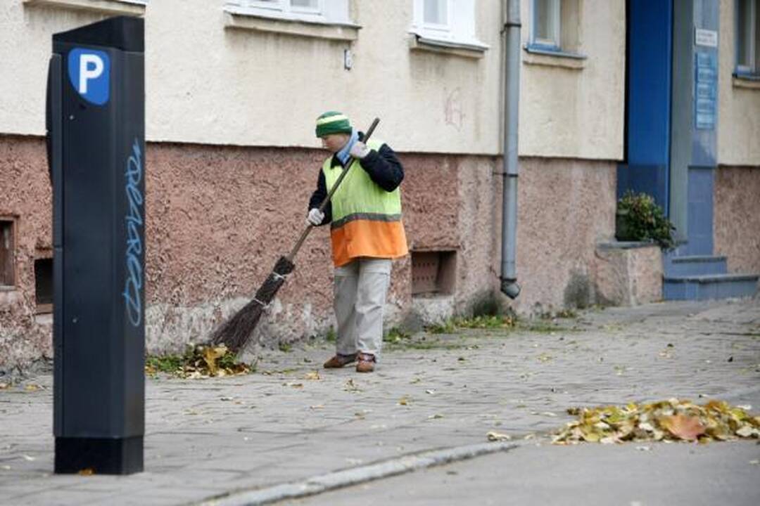Klaipėdos gatvėse surinkti lapai virs kompostu