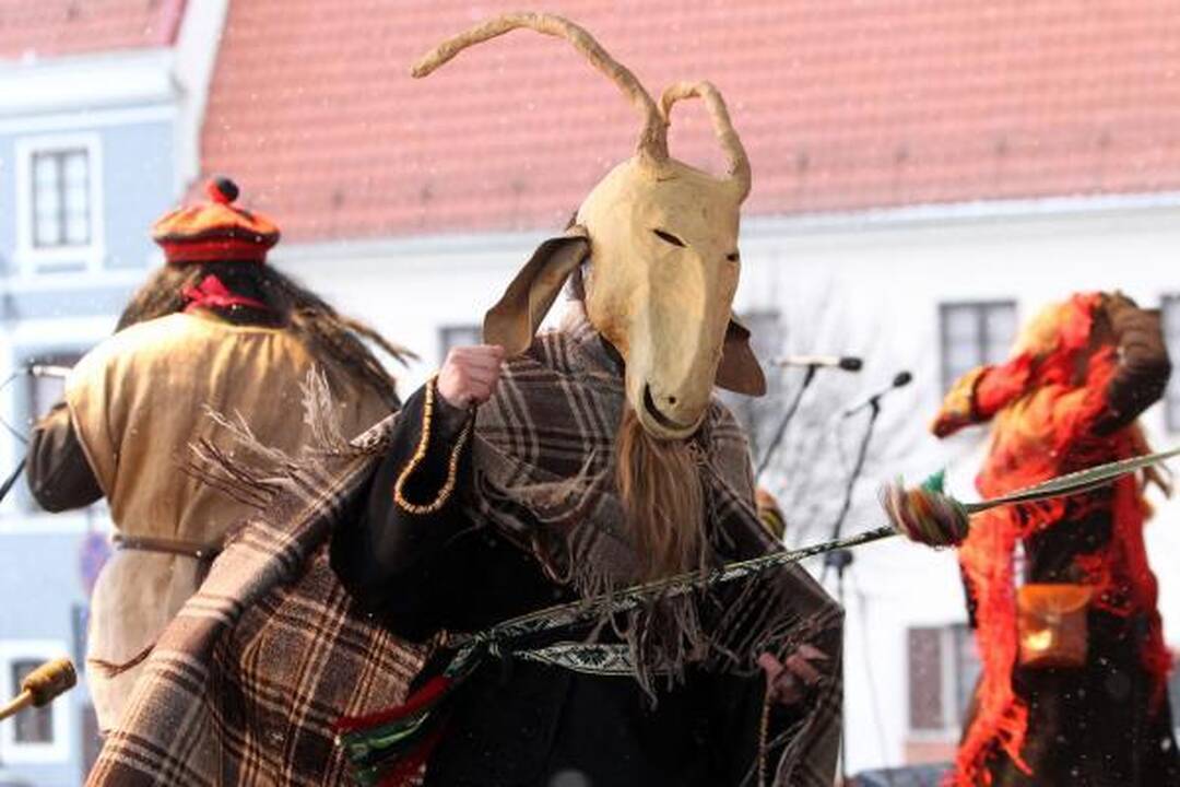Varyti žiemą Vilnius šiemet pradėjo anksčiau