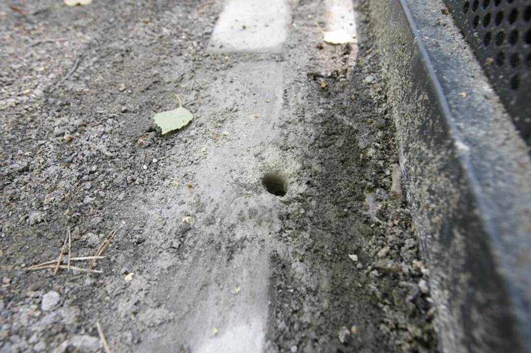 Į Klaipėdos poilsio parką įsisuko vandalai
