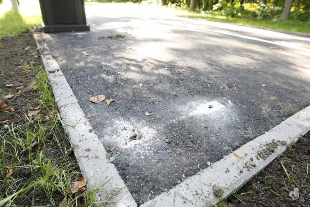 Į Klaipėdos poilsio parką įsisuko vandalai