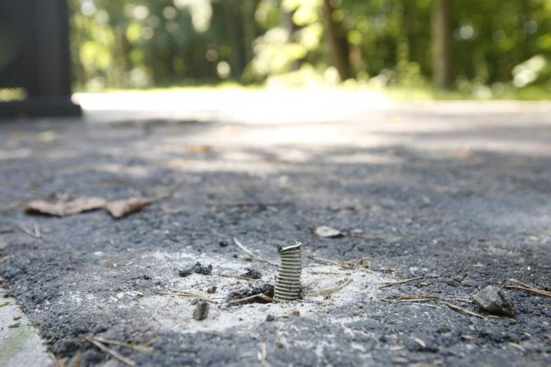 Į Klaipėdos poilsio parką įsisuko vandalai