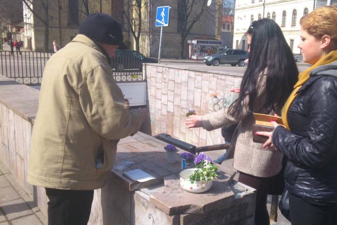 Pirmosios žibuoklės jau pildo prekeivių pinigines