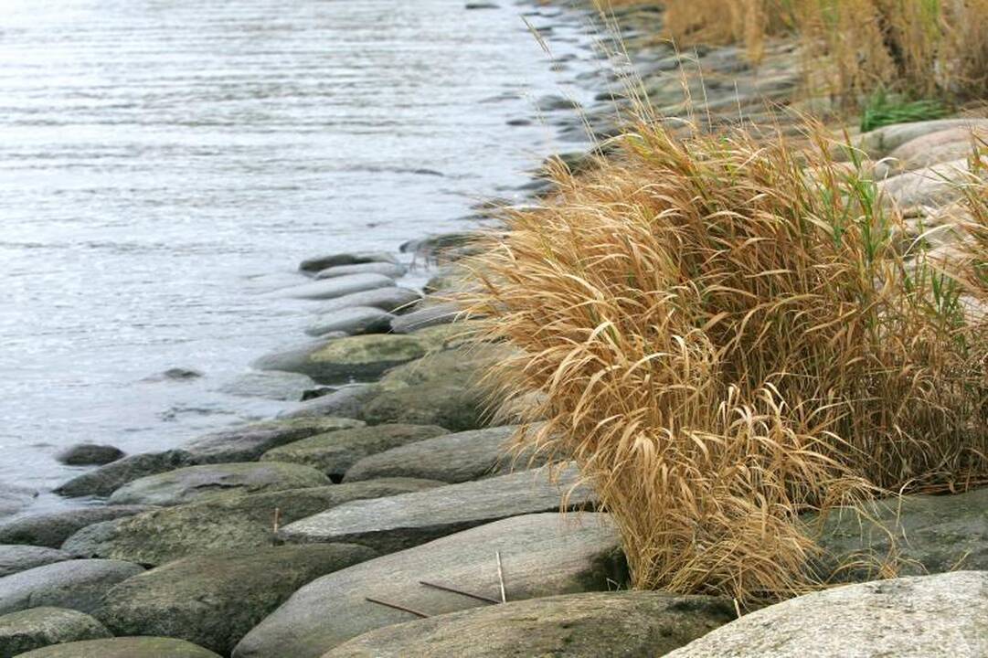 Pagėgių savivaldybėje rastas nuskendusio berniuko kūnas
